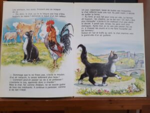 Sa majesté le chat (Védère d'Auria, Couronne)