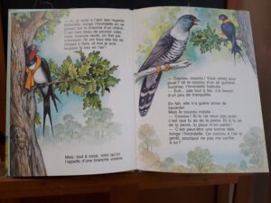L'hirondelle est de retour (Védère d'Auria, Couronne)