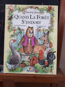 Quand la forêt s'endort (Védère d'Auria, Couronne)