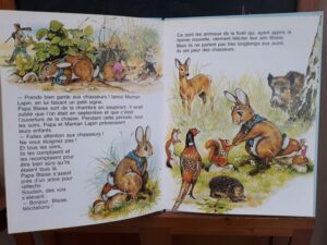 Une belle vie de lapin (Védère d'Auria, Couronne)