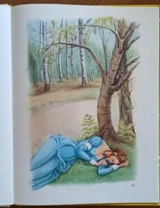 La cabane enchantée (Comtesse de Ségur/H. Wolinetz)