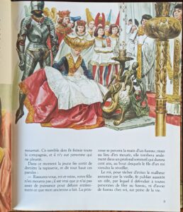 La belle au bois dormant et autres contes merveilleux (Branchu J./Maraja, Rizzato, Benvenuti...)